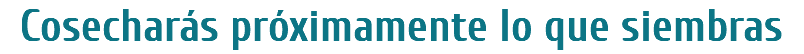 Cosecharás próximamente lo que siembras